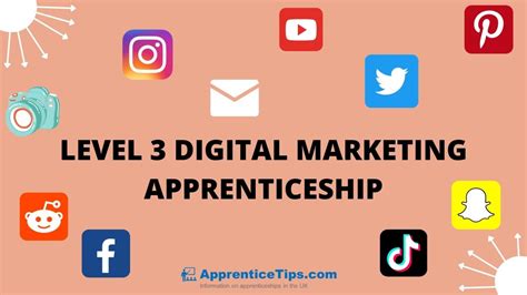 level 3 digital marketing apprenticeship levy